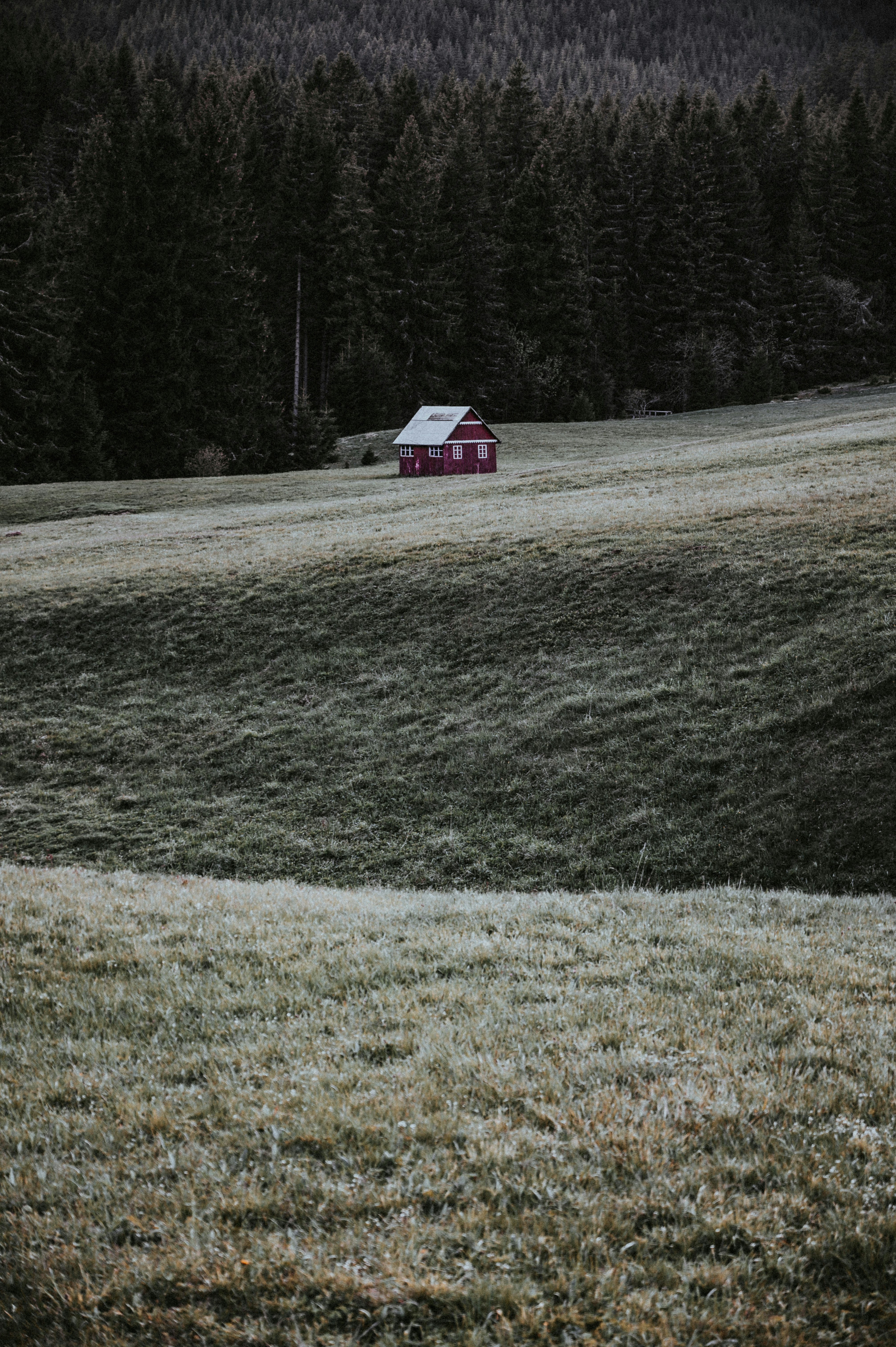 white and red house on green grass field